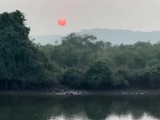 The smell of henna pervades the Indian subcontinent