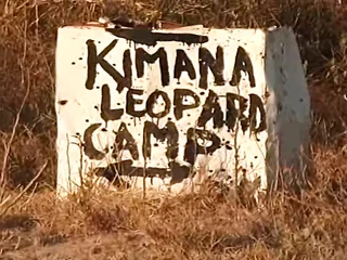 Bob Terminator & Melody Kord's retro hard-core escapade