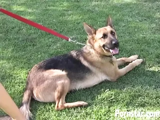 India Summer taking fine be enamoured of of sascha koch's pipe